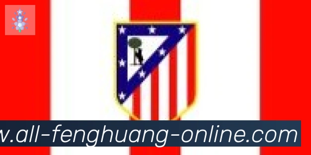 凤凰体育合作伙伴